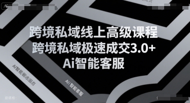 跨境私域线上高级课程，跨境私域极速成交3.0+Ai智能客服-迦哆网创社