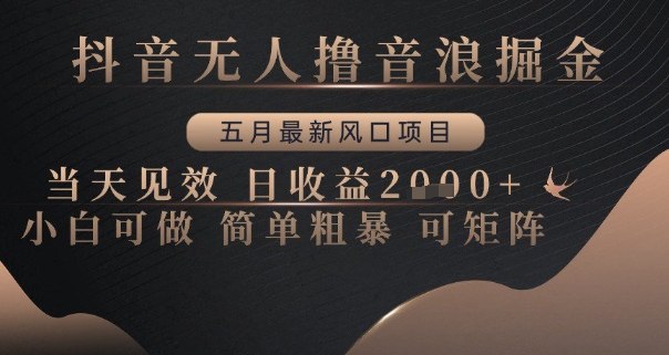 抖音无人撸音浪掘金，五月最新风口项目，当天见效，日收益多张，小白可做简单粗暴可矩阵【揭秘】-迦哆网创社