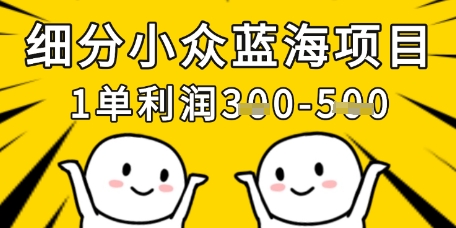 细分小众蓝海项目，一单利润3张，每月收入稳定过1w+-迦哆网创社