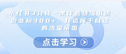 小红书3分钟一条作品精准引流创业粉300+，打造属于自己的流量帝国-迦哆网创社