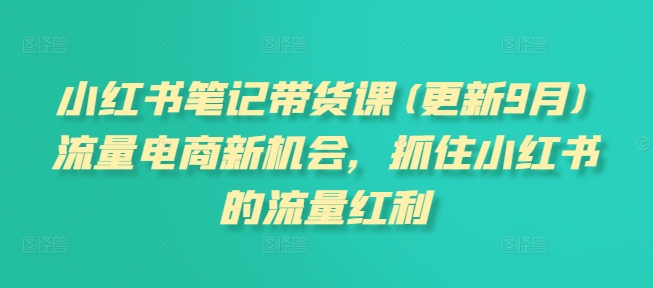 小红书笔记带货课(更新25年4月)流量电商新机会，抓住小红书的流量红利-迦哆网创社