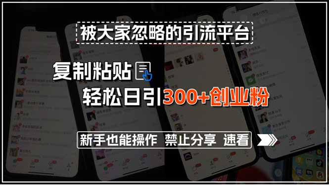 被大家忽略的引流平台，复制粘贴轻松日引300+创业粉，新手也能操作，禁…-迦哆网创社