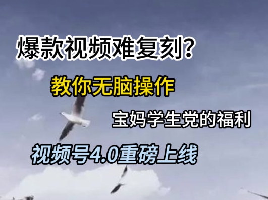 视频号4.0重磅上线，爆款视频难复刻？教你无脑操作宝妈学生党的福利【揭秘】-迦哆网创社