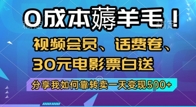 0成本薅羊毛!视频会员、话费卷、30元电影票白送，分享我如何靠转卖一天变现5张+【揭秘】-迦哆网创社