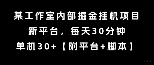 某工作室内部掘金挂G项目，新平台，每天30分钟，单机30+【揭秘】-迦哆网创社