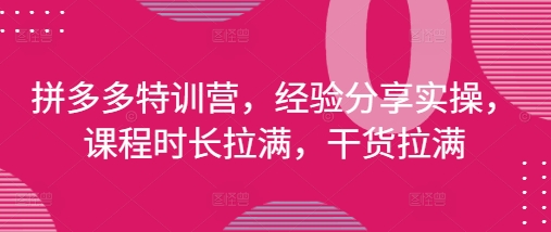 拼多多特训营，经验分享实操，课程时长拉满，干货拉满(更新25年4月)-迦哆网创社