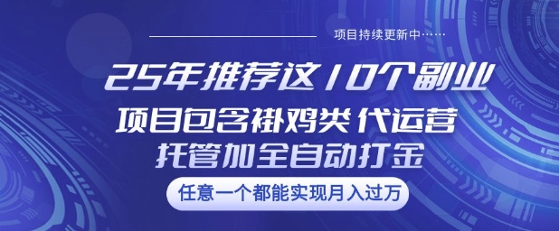 25年推荐这10个副业项目包含褂鸡类、代运营托管类、全自动打金类【揭秘】-迦哆网创社