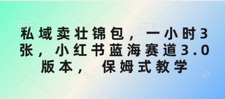 私域卖壮锦包，一小时3张，小红书蓝海赛道3.0版本， 保姆式教学-迦哆网创社