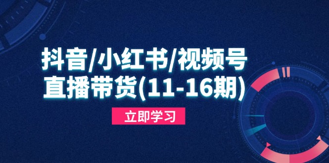 抖音/小红书/视频号/直播带货(11-16期-迦哆网创社