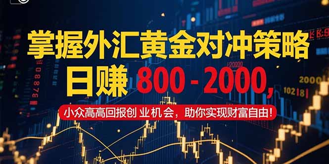 掌握外汇黄金对冲策略，日赚 800 – 2000，小众高回报创业机会，助你实…-迦哆网创社