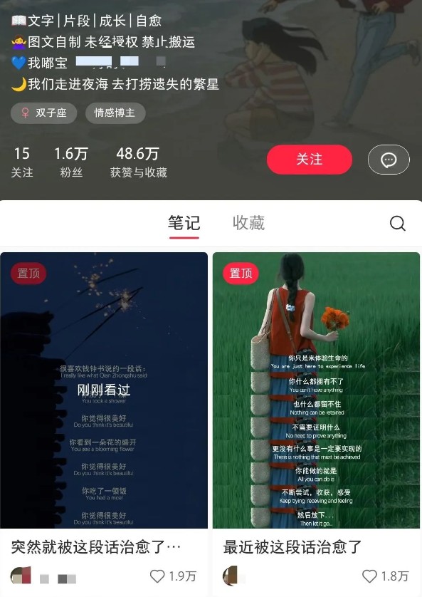 小红书治愈文案图文笔记，零门槛，一分钟制作轻松制作爆款作品月入万元-迦哆网创社