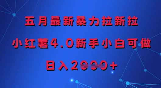 五月最新暴力拉新拉，小红薯4.0新手小白可做，日入多张-迦哆网创社