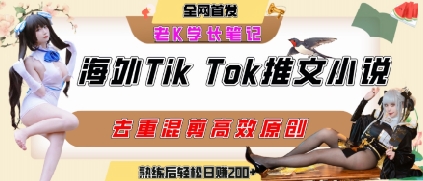 海外tiktok小说推文暴力项目，高停留率，高转化率，上手后一天搞顿饭钱不是问题-迦哆网创社