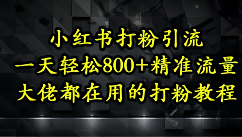 小红书打粉引流，一天轻松500+精准流量，大佬都在用的打粉教程-迦哆网创社