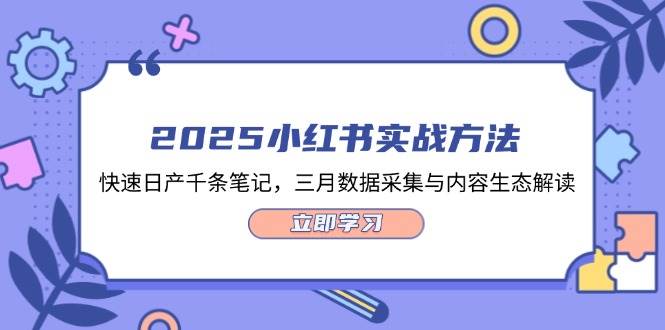 2025小红书实战方法，快速日产千条笔记，三月数据采集与内容生态解读-迦哆网创社