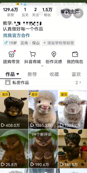 抖音65W博主AI萌宠课程，新赛道流量大，原创+二创，全套课程+提示词-迦哆网创社