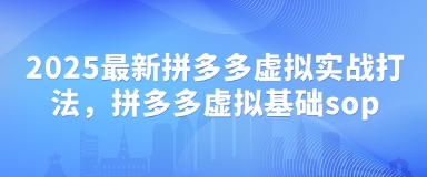 2025最新拼多多虚拟实战打法，拼多多虚拟基础sop-迦哆网创社