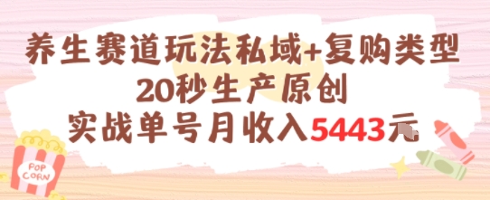 养生赛道玩法私域+复购类型，20秒生产原创实战单号月收入5k+-迦哆网创社