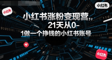小红书涨粉变现营，21天从0-1做一个挣钱的小红书账号-迦哆网创社