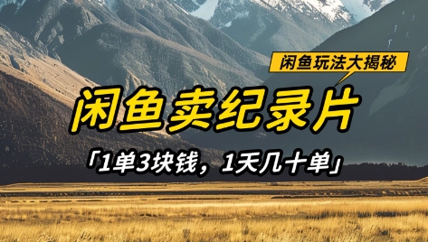 闲鱼卖纪录片1单3块钱，1天几十单，项目稳定有潜力-迦哆网创社