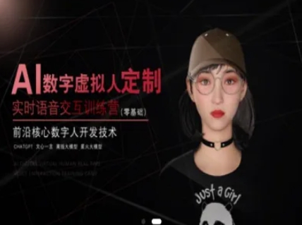 AI数字虚拟人定制，实时语音交互训练营(零基础)，前沿核心数字人开发技术-迦哆网创社