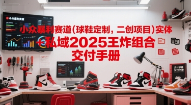 小众暴利赛道(球鞋定制，二创项目)实体+私域2025王炸组合  交付手册-迦哆网创社