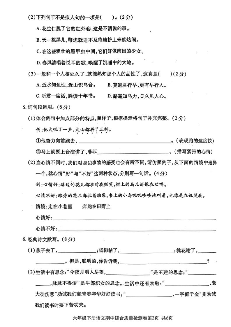 六年级下语文期中综合质量学情评估卷-迦哆网创社