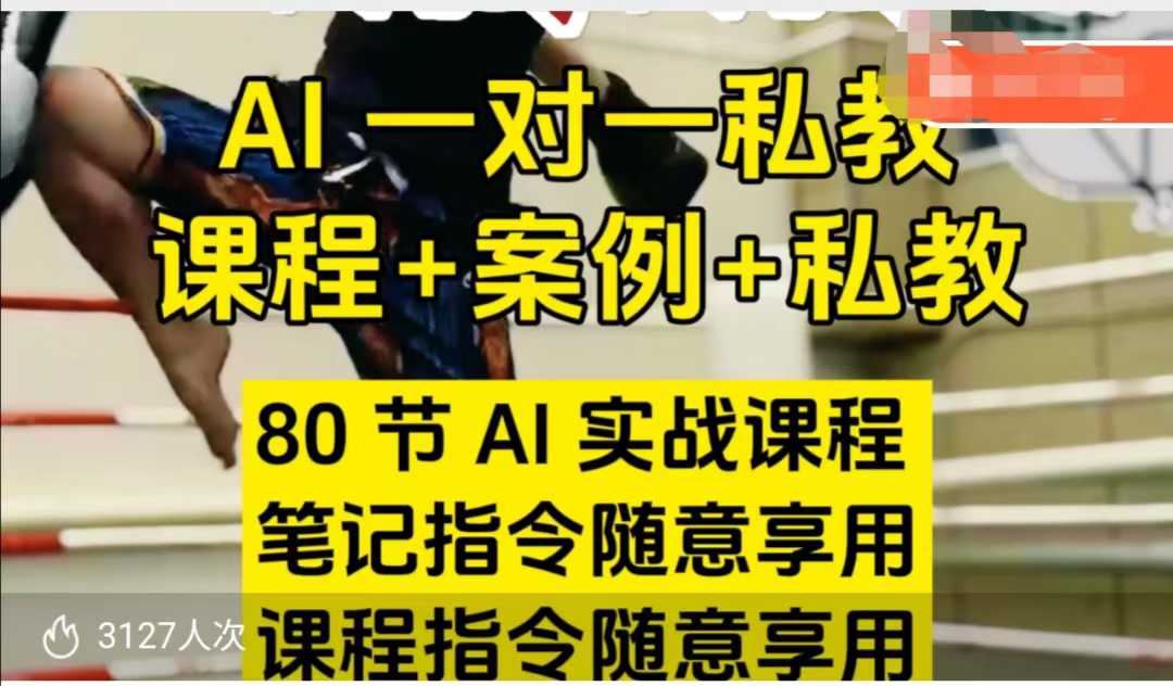 AI指令实战课，课程+案例，80节AI实战课程，笔记指令随意享用，课程指令随意享用(更新7月)-迦哆网创社