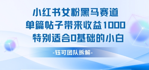小红书女粉黑马赛道单篇帖子带来收益1k+，特别适合0基础的小白-迦哆网创社