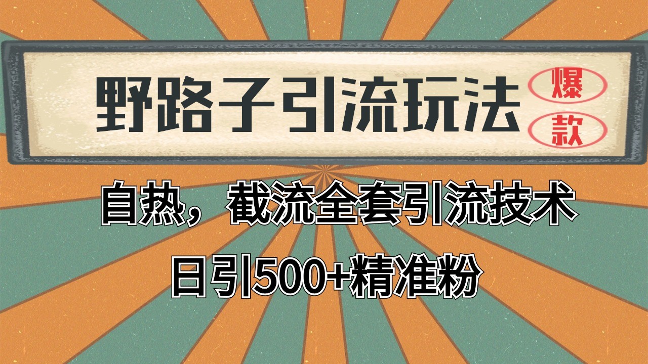 2024首发野路子引流玩法截流自热全平台打法，全自动引流【日引2000+精准客户】-迦哆网创社