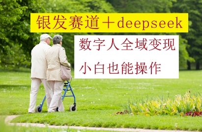 银发赛道+deepseek数字人全域变现，小白也能操作-迦哆网创社
