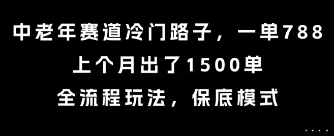中老年赛道冷门路子，一单788，上个月出了1500单，全流程玩法，保底模式【揭秘】-迦哆网创社