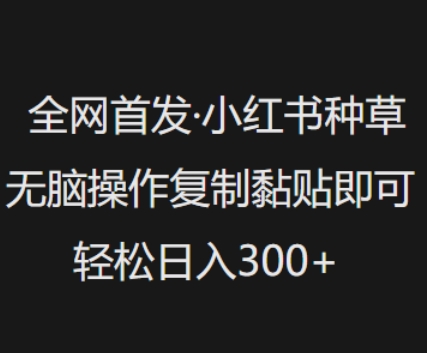 全网首发，小红书种草无脑操作，复制黏贴即可，轻松日入3张-迦哆网创社