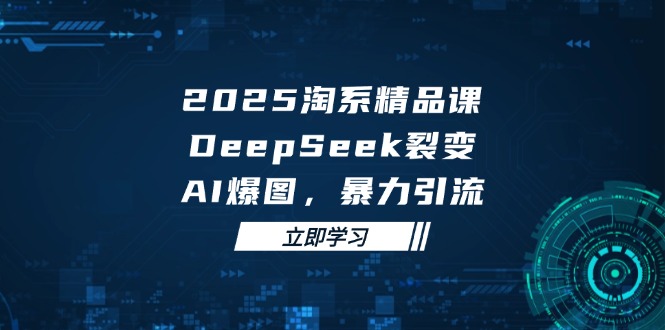 2025 淘系精品课，DeepSeek 裂变，AI 爆图，暴力引流-迦哆网创社