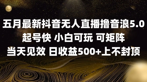 2025五月最新无人直播撸音浪单日产出5张+实操教程【揭秘】-迦哆网创社