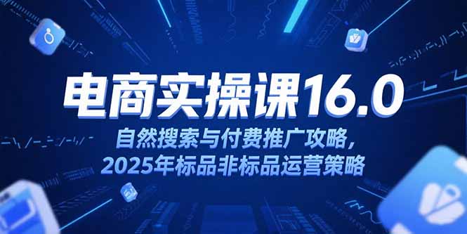 淘宝电商运营课16.0，自然搜索与付费推广攻略，2025年标品非标品运营策略-迦哆网创社