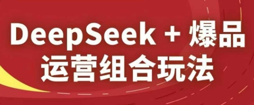 DeepSeek+爆品运营组合玩法，2025淘系精品课-迦哆网创社