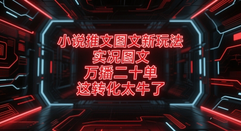 小说推文图文新玩法，实况图文，万播二十单，这转化太牛了！-迦哆网创社