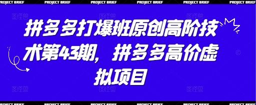 拼多多打爆班原创高阶技术第43期，拼多多高价虚拟项目-迦哆网创社