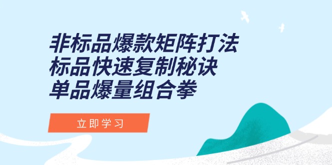 非标品爆款矩阵打法，标品快速复制秘诀，单品爆量组合拳-迦哆网创社