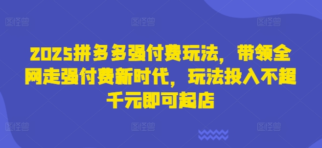 2025拼多多强付费玩法，带领全网走强付费新时代，玩法投入不超千元即可起店-迦哆网创社