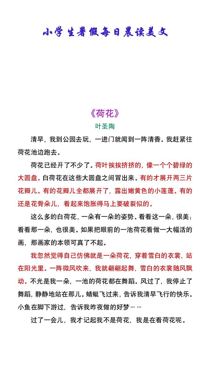 小学生暑假每日晨读美文：叶圣陶《荷花》-小升初语文-迦哆网创社