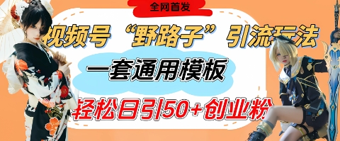 视频号“野路子”玩法，评论区疯狂截流，一套模板单日单号引流50+创业粉-迦哆网创社