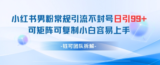 小红书男粉常规引流不封号日引99+变现简单 可矩阵可复制小白容易上手-迦哆网创社