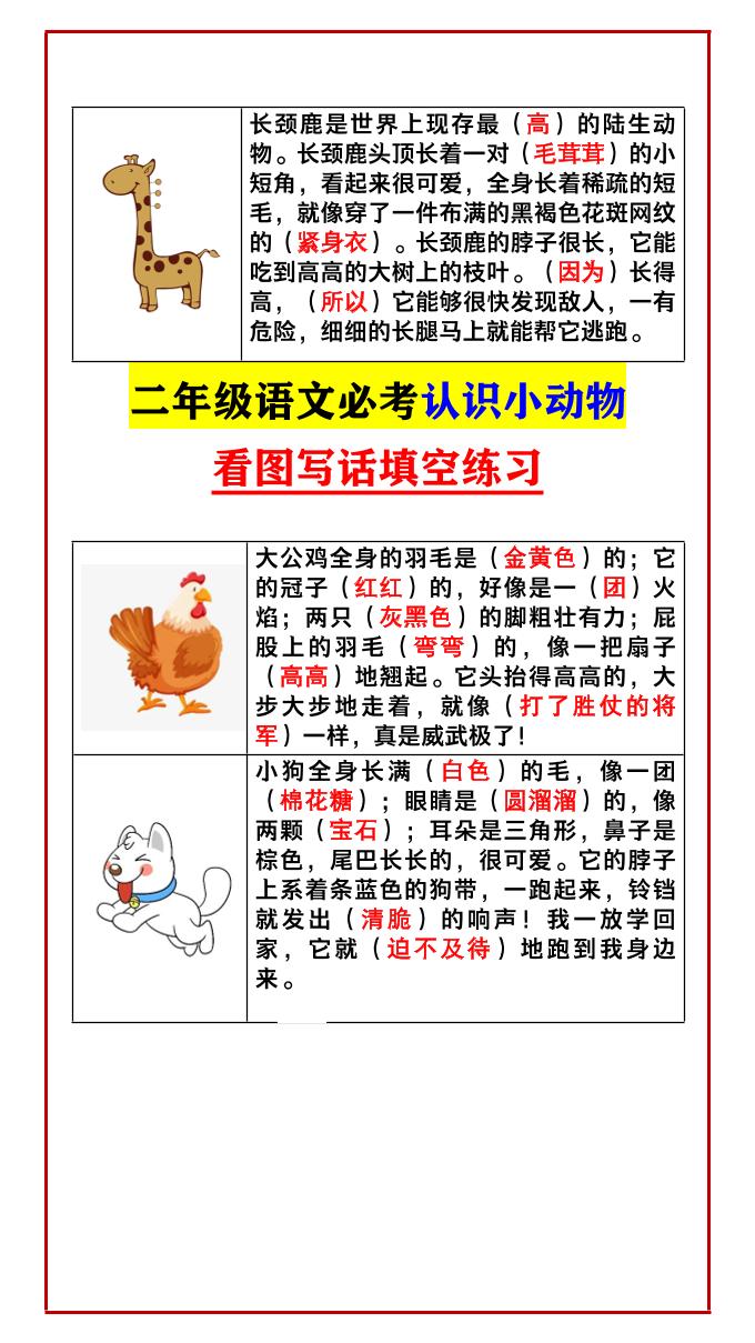 【2025秋新版】二年级语文必考认识小动物看图写话填空练习-二上语文-迦哆网创社