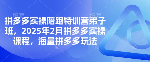 拼多多实操陪跑特训营弟子班，2025年2月拼多多实操课程，海量拼多多玩法-迦哆网创社