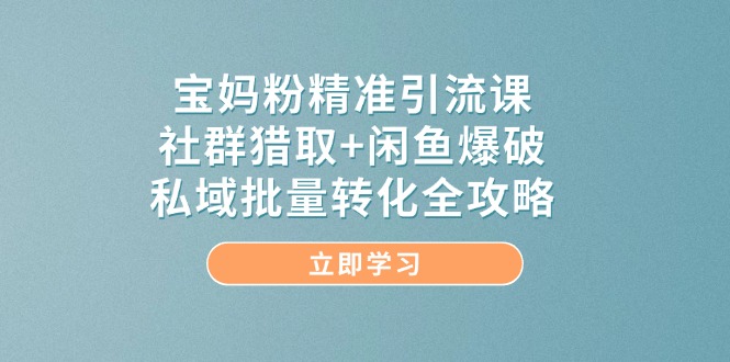 宝妈粉精准引流课，社群猎取+闲鱼爆破，私域批量转化全攻略-迦哆网创社