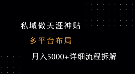 私域做天涯神贴 多平台布局 月入5k+详细流程拆解-迦哆网创社