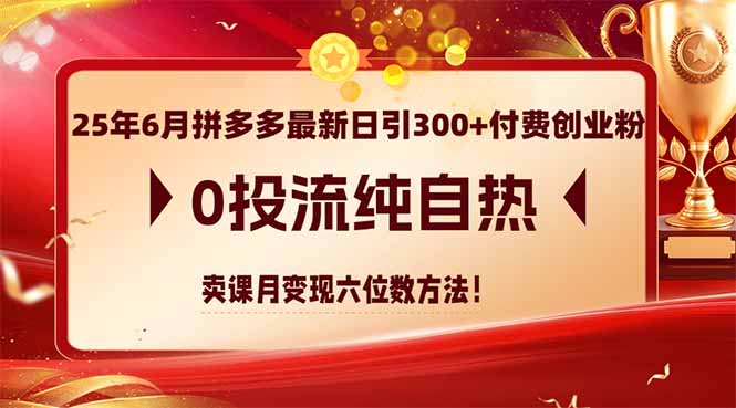 25年6月拼多多最新日引300+付费创业粉，0投流纯自热 卖课月变现六位数方法-迦哆网创社