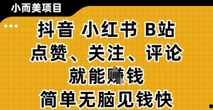 小而美的项目，抖音小红书B站视频点赞、关注、评论就能挣钱，简单无脑立见收益，妥妥的零撸项目【揭秘】-迦哆网创社